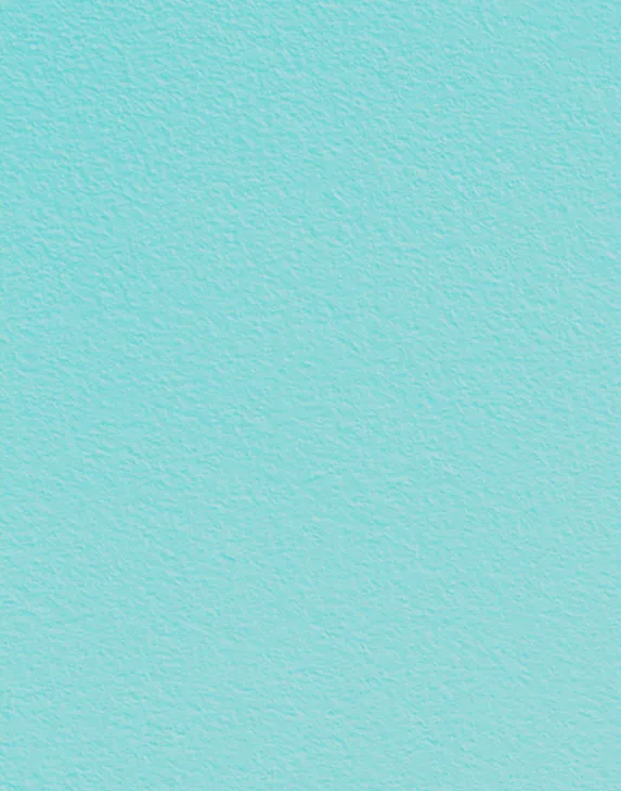 日記の表紙の裏